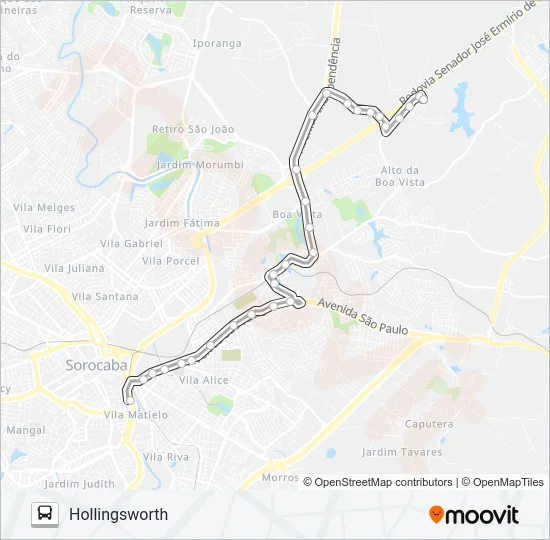 29 HOLLINGSWORTH Bus Line Map