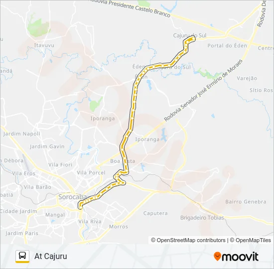31 EXPRESSO CAJURU Bus Line Map
