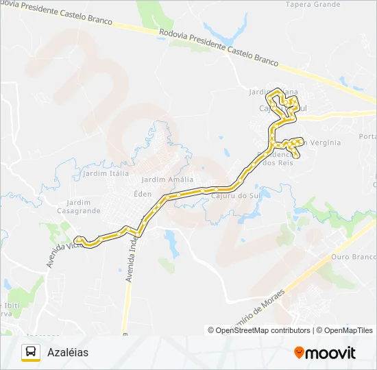 313 CIRCULAR NILTON TORRES Bus Line Map