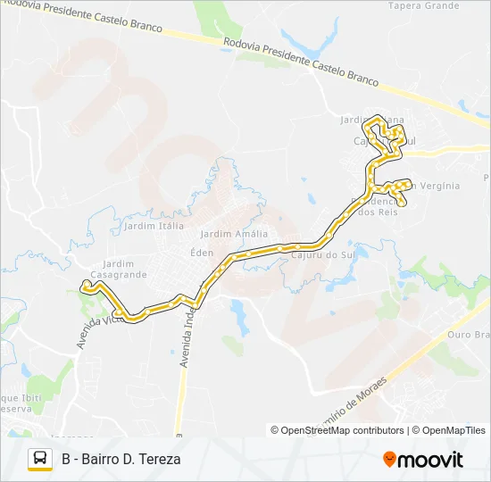 313 CIRCULAR NILTON TORRES Bus Line Map