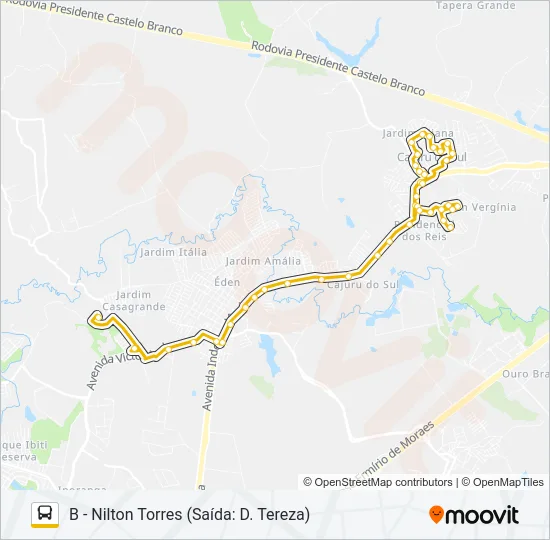 313 CIRCULAR NILTON TORRES Bus Line Map