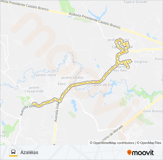 Mapa da linha 313 CIRCULAR NILTON TORRES de ônibus