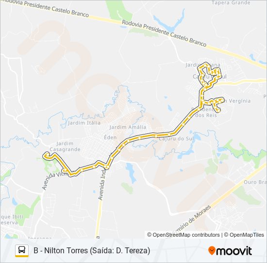 Mapa de 313 CIRCULAR NILTON TORRES de autobús