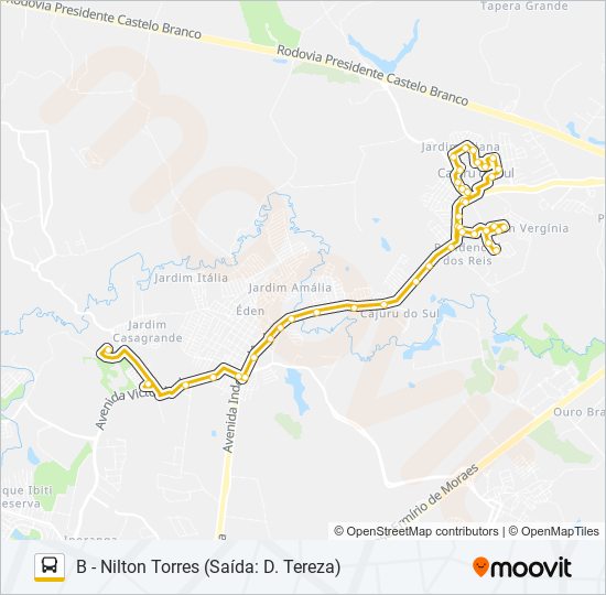 313 CIRCULAR NILTON TORRES bus Line Map