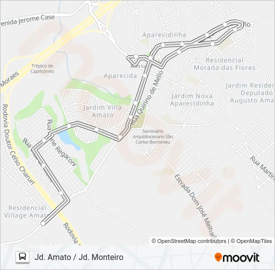 482 AMATO / MONTEIRO Bus Line Map