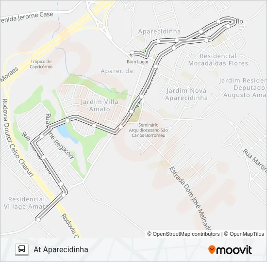 482 AMATO / MONTEIRO Bus Line Map