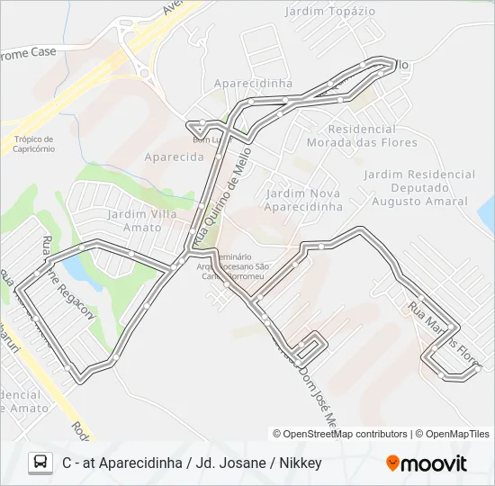 482 AMATO / MONTEIRO Bus Line Map