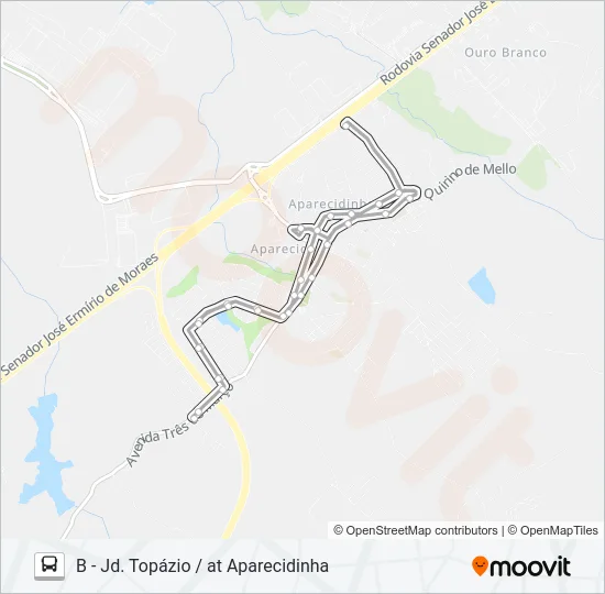 482 AMATO / MONTEIRO Bus Line Map