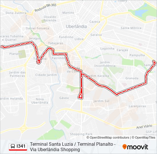 I341 bus Line Map