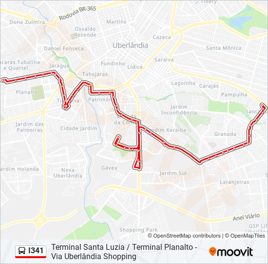 I341 bus Line Map