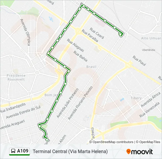 A109 Bus Line Map