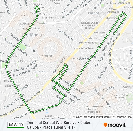 A115 bus Line Map