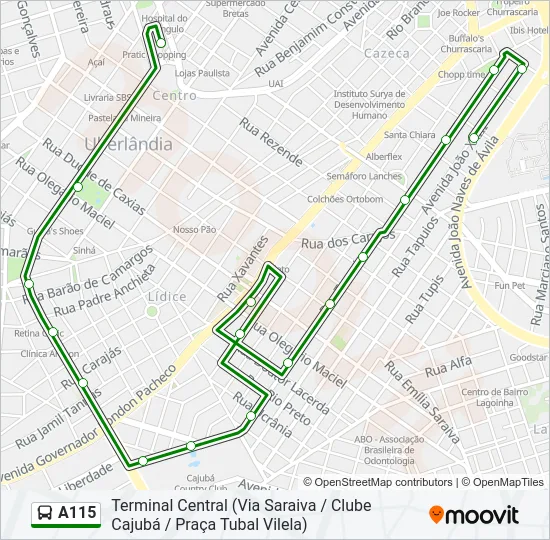A115 Bus Line Map