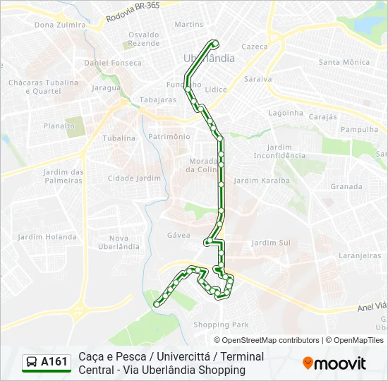 A161 Bus Line Map
