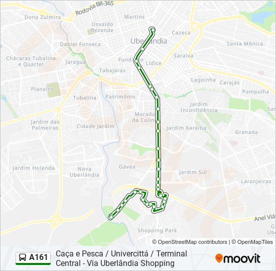 Mapa de A161 de autobús