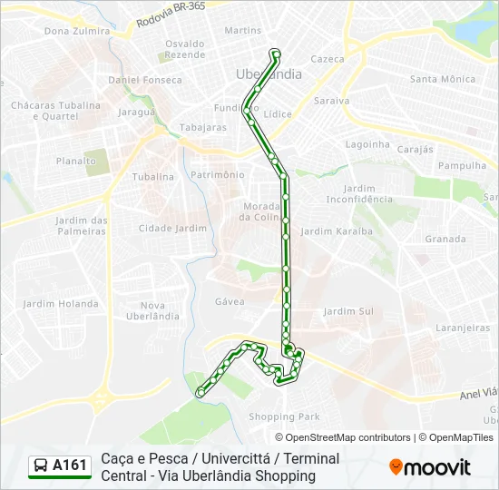 A161 Bus Line Map