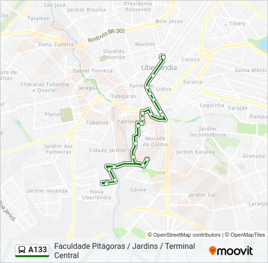 A133 Bus Line Map