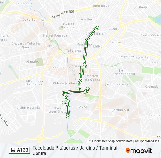 Mapa da linha A133 de ônibus