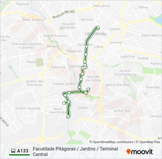 A133 Bus Line Map