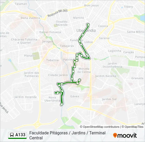 A133 Bus Line Map