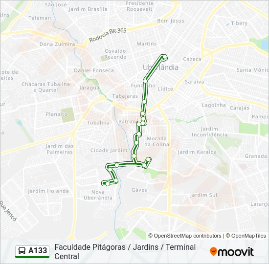 A133 Bus Line Map