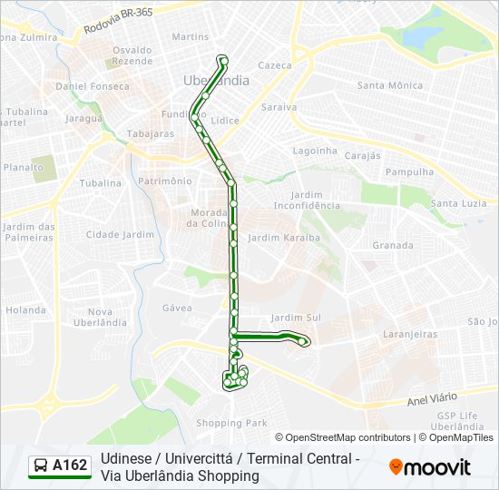 A162 bus Line Map