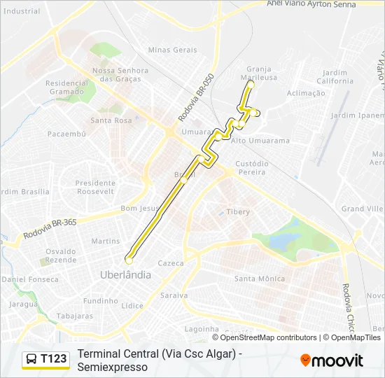 T123 Bus Line Map
