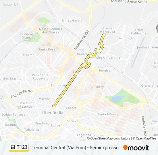T123 Bus Line Map
