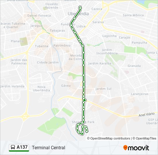 A137 bus Line Map