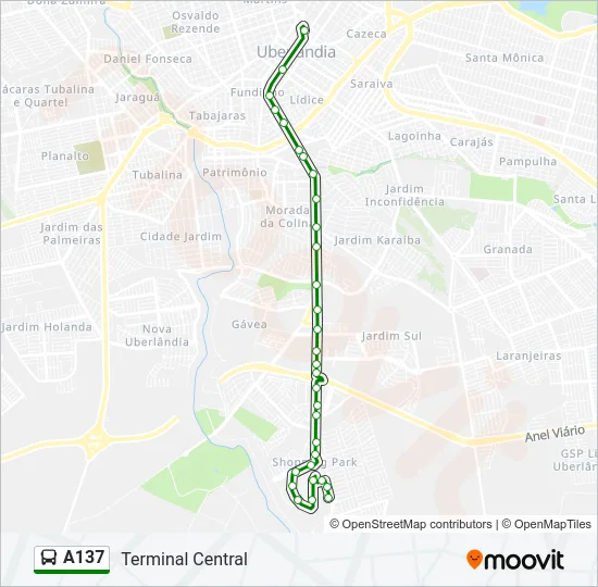A137 Bus Line Map
