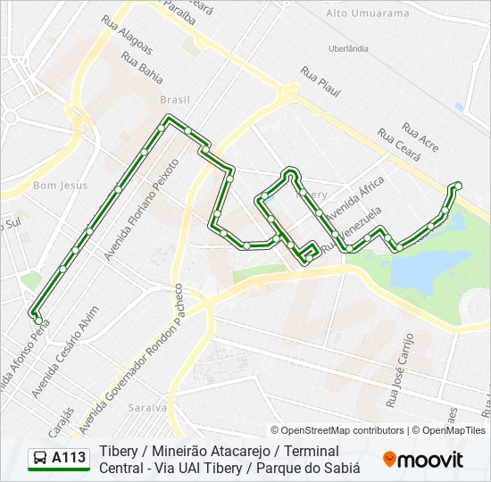 A113 bus Line Map