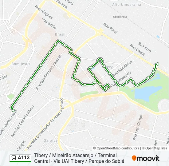 A113 Bus Line Map