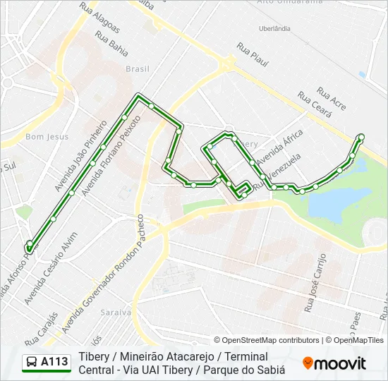 A113 Bus Line Map