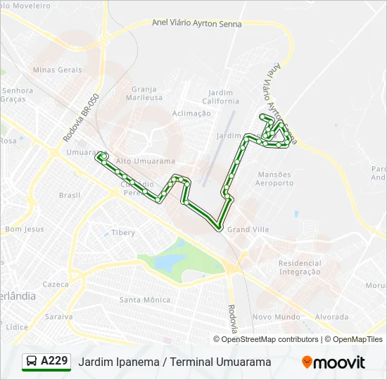 A229 Bus Line Map