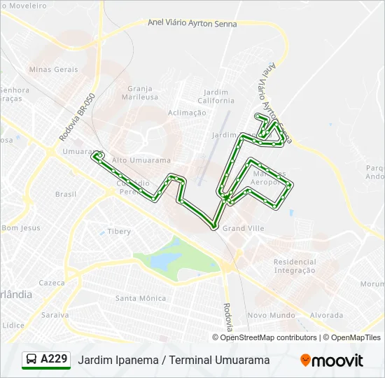A229 Bus Line Map