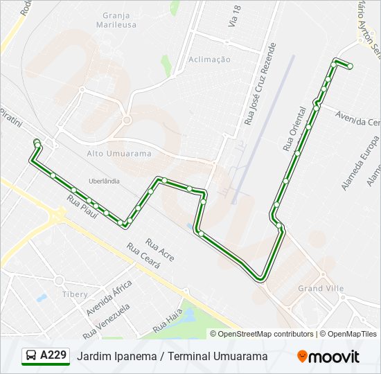 A229 bus Line Map