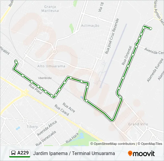 A229 Bus Line Map