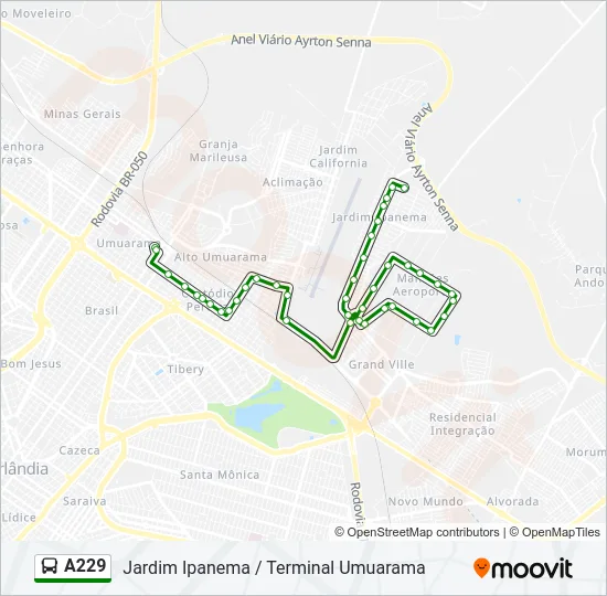 A229 Bus Line Map