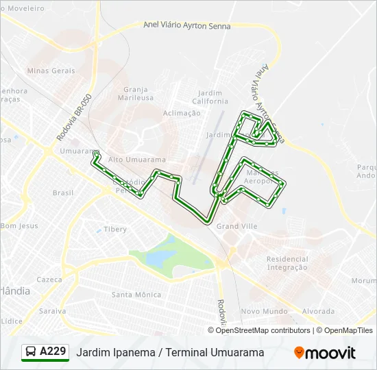 A229 Bus Line Map
