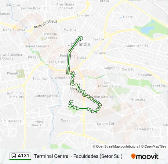 A131 Bus Line Map