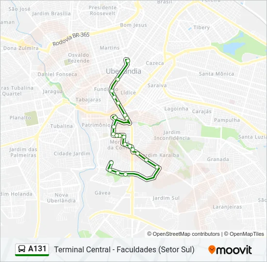 A131 Bus Line Map