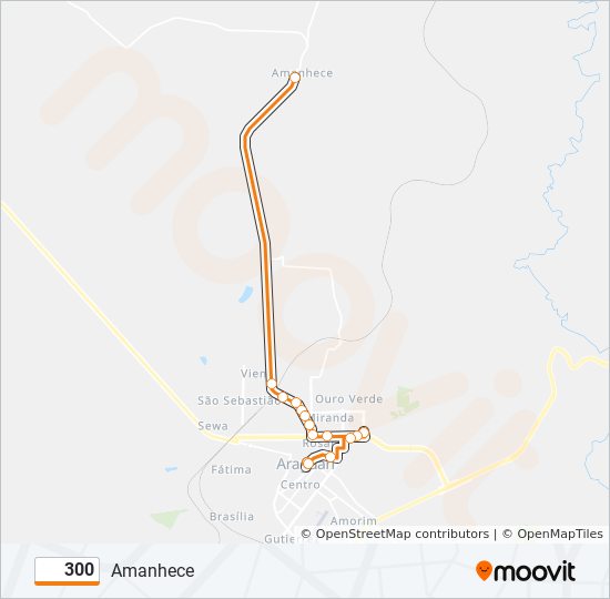 Mapa da linha 300 de ônibus