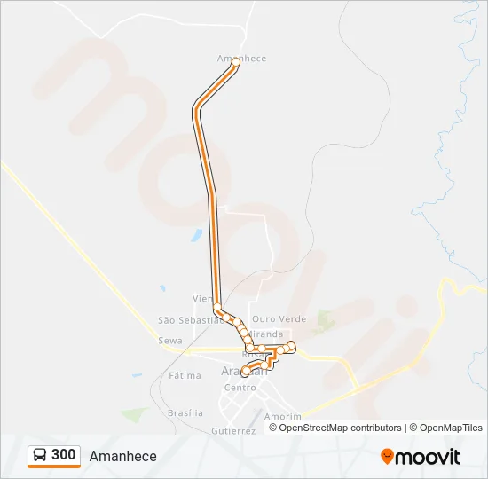 300 Bus Line Map