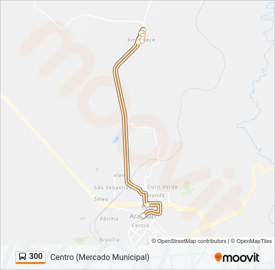 300 Bus Line Map