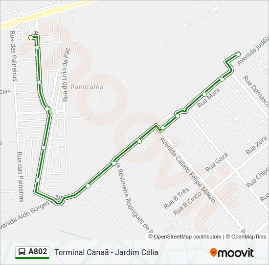 A802 Bus Line Map