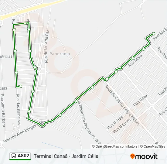 A802 Bus Line Map