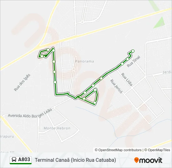 A803 Bus Line Map