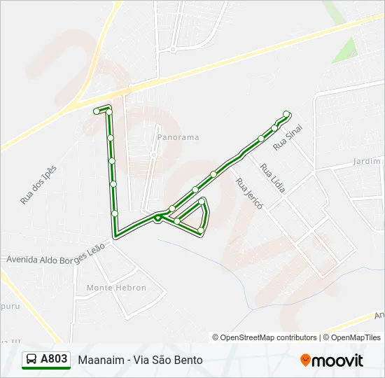 A803 Bus Line Map