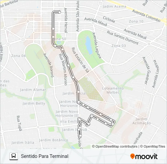 427 CERRO AZUL Bus Line Map
