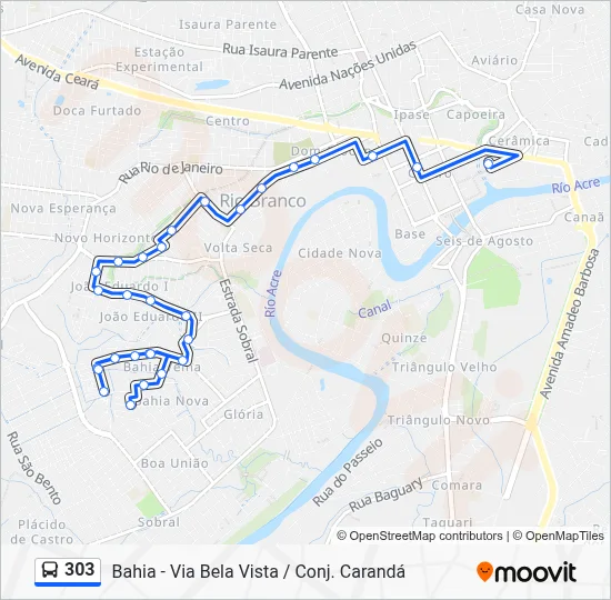 303 Bus Line Map